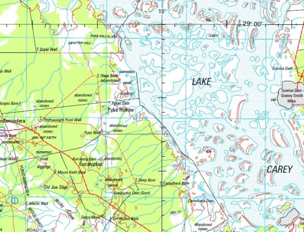 Edjudina 1-250,000 Topographic Map - Maps, Books & Travel Guides