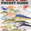 Australian Fishing Network Australian Fish ID Pocket Guide